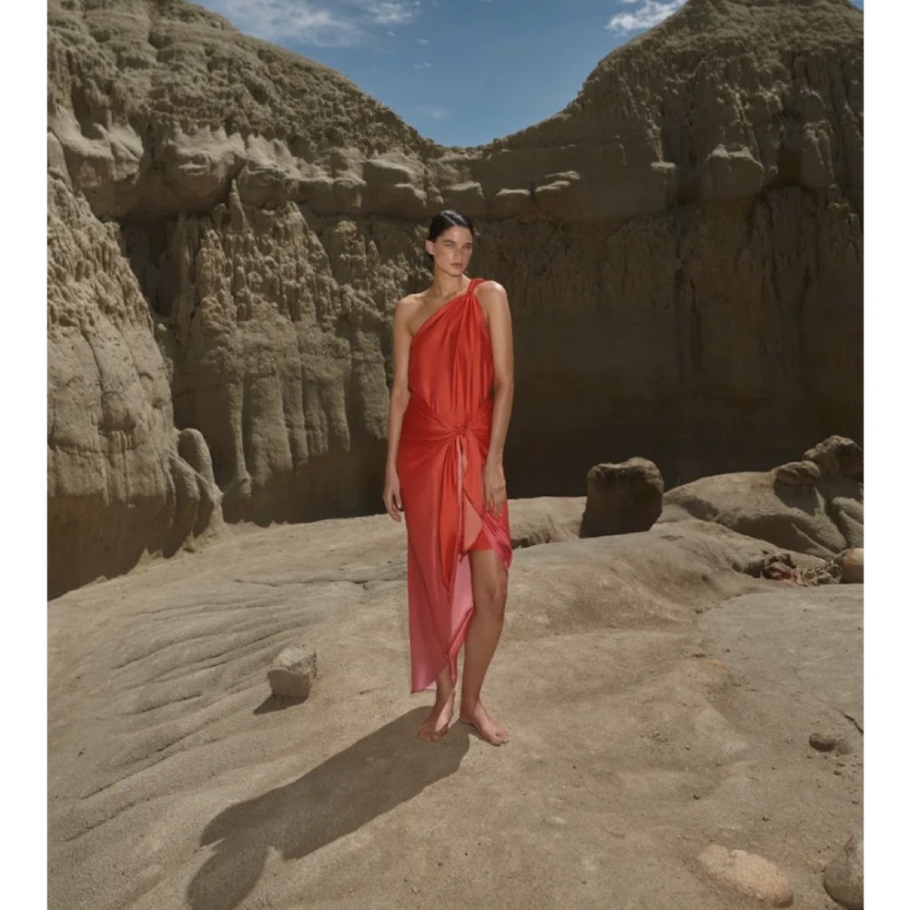 NWT BAOBAB Marea Midi Dress